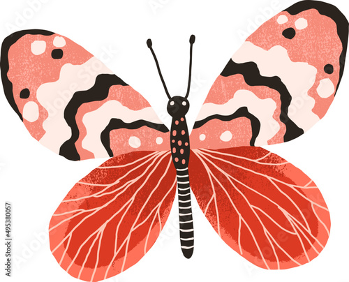 Beautiful Butterfly Colored Illustration 