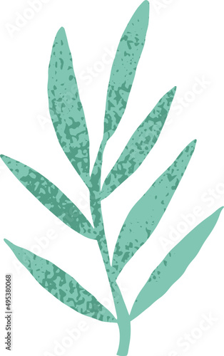 Plant Branch Colored Illustration 