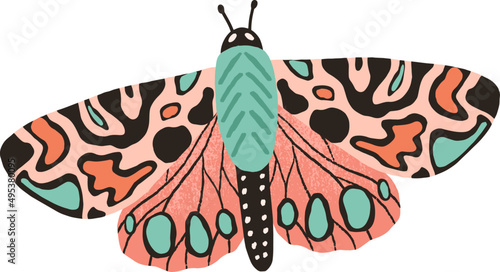 Exotic Butterfly or Moth Colored Illustration
