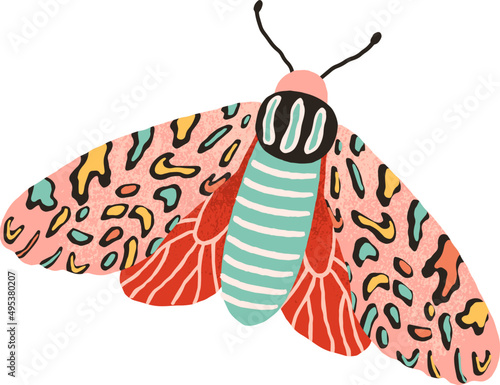 Exotic Moth or Butterfly Colored Illustration