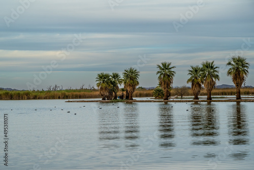 A beautiful overlooking view of nature in Yuma, Arizona