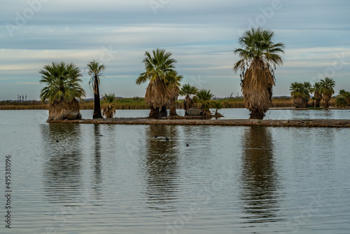 A beautiful overlooking view of nature in Yuma, Arizona
