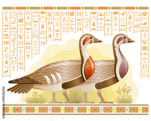 Egyptian bird vector. Geese from Egypt. Pharaoh goose art, papyrus with hieroglyph. Wild duck illustration. God Geb mythology symbol. Ancient vintage animal. Old symbol. Wildfowl vector. Meidum geese