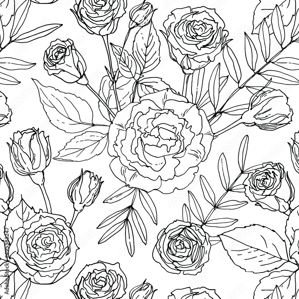 Roses Flowers black line pattern. Vector sketch of flowers. 