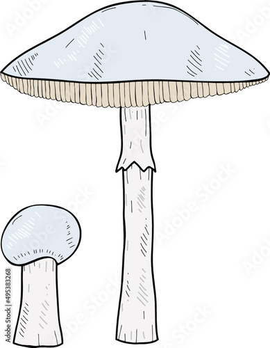 Mushroom Hand Drawn Outline Illustration