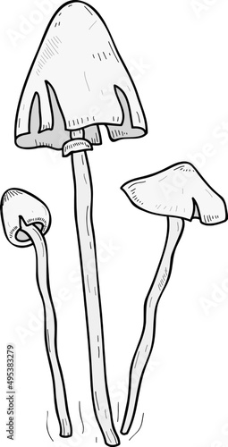 Mushroom or Fungus Hand Drawn Line Art Illustration