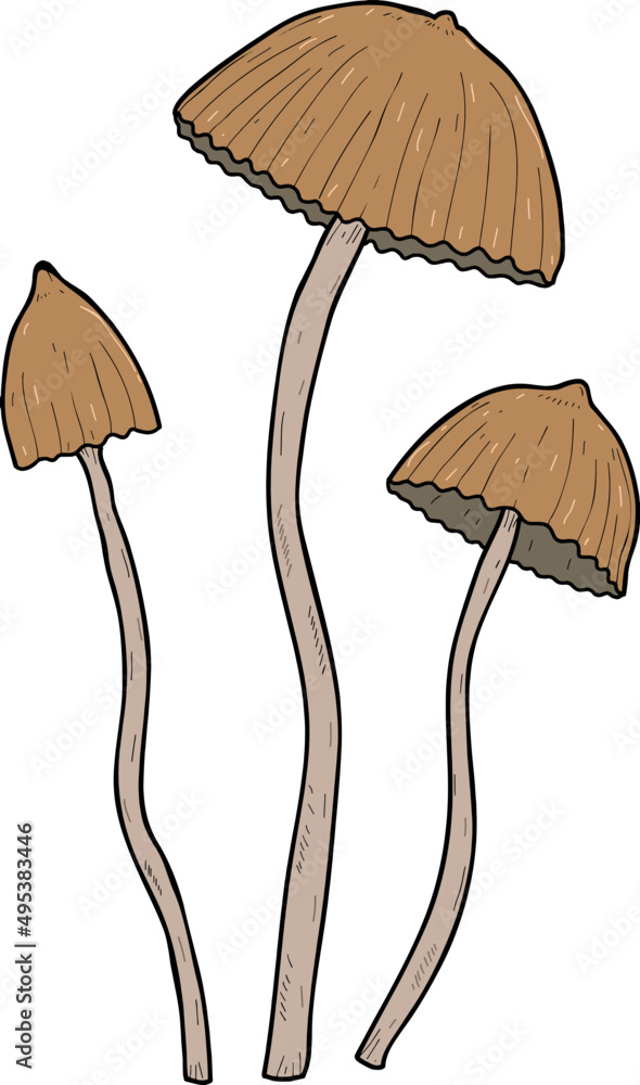 Mushroom Colored Line Art Illustration