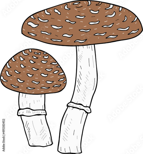 Mushroom Vintage Line Art Illustration
