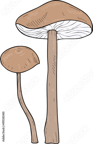 Mushroom Hand Drawn Line Art Illustration