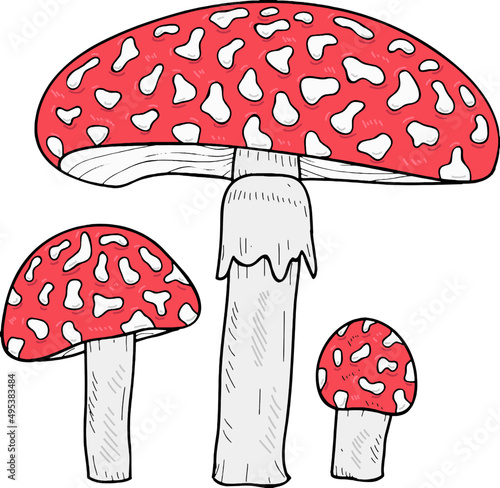 Forest Fly Agaric Mushroom Hand Drawn Line Art Illustration