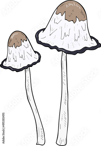 Mushroom Sketch Hand Drawn Line Art Illustration