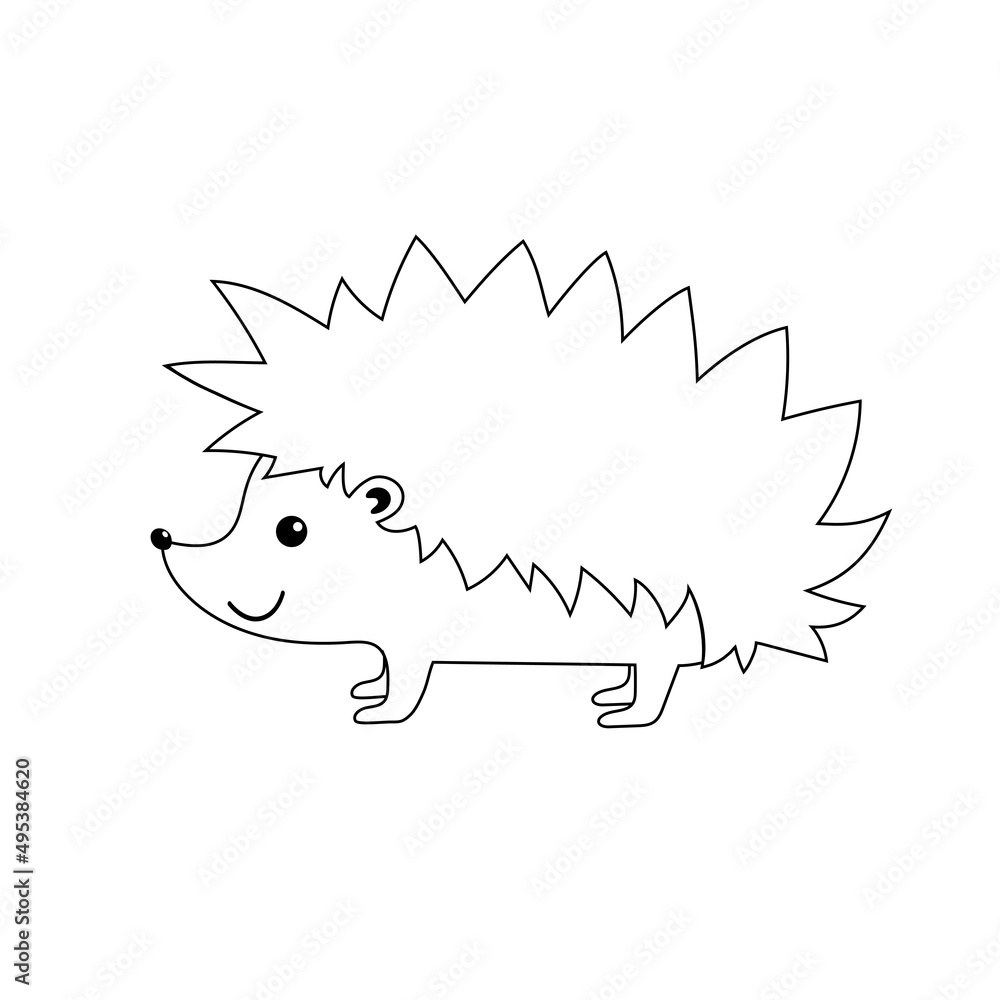 Outline of hedgehog. Vector illustration. Isolated element on white background. Erinaceus. Contour. Outline of hedgehog. Vector illustration. Isolated element on white background. Erinaceus. Contour.