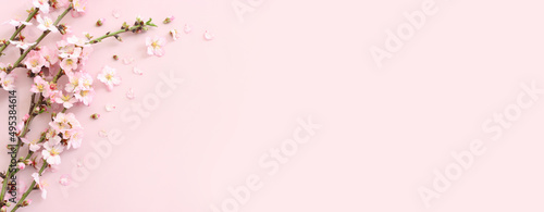 image of spring white cherry blossoms tree over pink pastel background photo