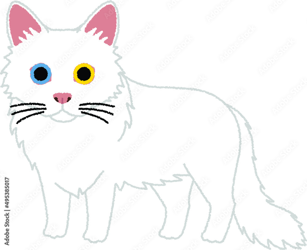 ターキッシュアンゴラの猫イラスト ターキッシュアンゴラの猫イラスト