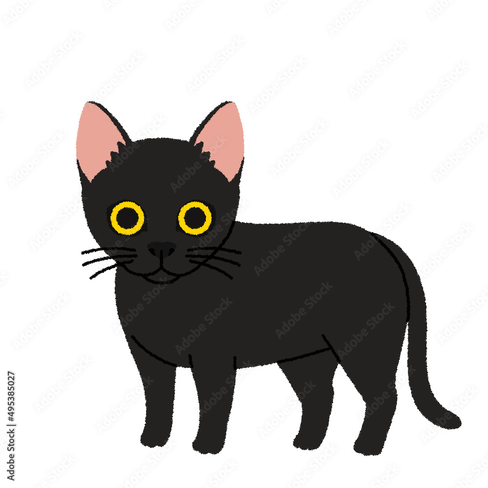 ボンベイの猫イラスト ボンベイの猫イラスト