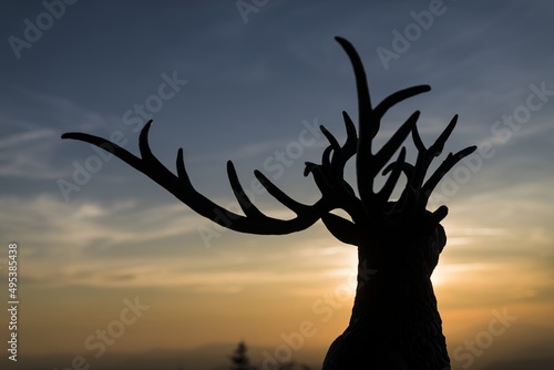 Silhouette of deer antlers. Sunrise in the mountains. Beautifully colored sky. Central Europe, Czech Republic, Lysá Hora.