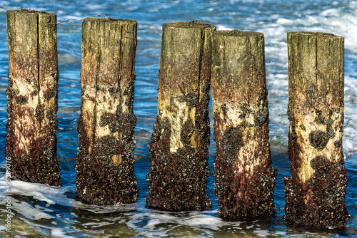 Lahnungen Küstenschutz Wellen Ahrenshoop Ostsee photo