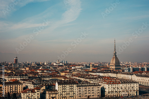 panorama of the city of turin © Francesca Emer