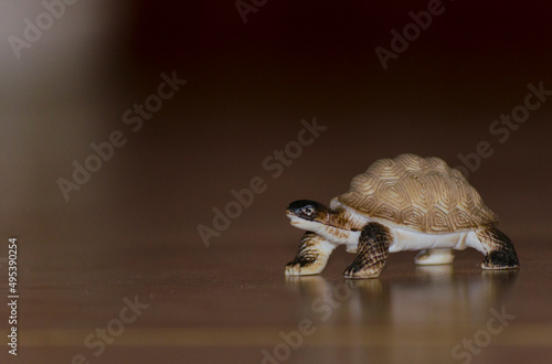 conceptual toy story tortoise toy walking