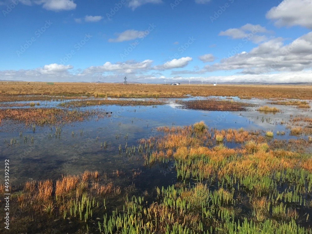 Lake and Yellow Grass of Autumn Prairie in Western China Lake and Yellow Grass of Autumn Prairie in Western China
