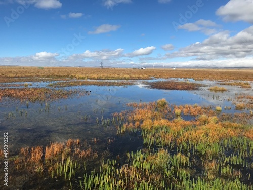 Lake and Yellow Grass of Autumn Prairie in Western China