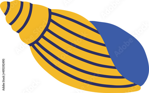 Sea Shell Colored Cartoon Illustration