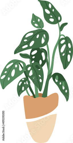 Trendy House Plant in Pot Colored Illustartion