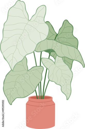 Beautiful House Plant in Pot Colored Illustartion