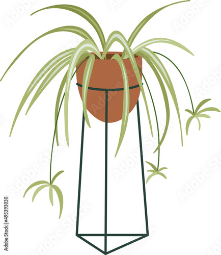 Stylish House Plant Colored Illustartion