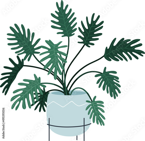 Trendy House Plant in Pot Colored Illustartion