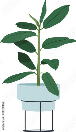 Trendy House Plant in Pot Colored Illustartion