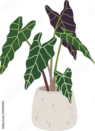 House Plant in Pot Colored Illustartion