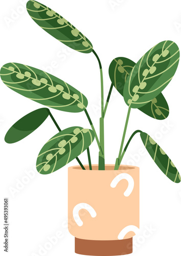 Trendy Potted Plant Colored Illustartion
