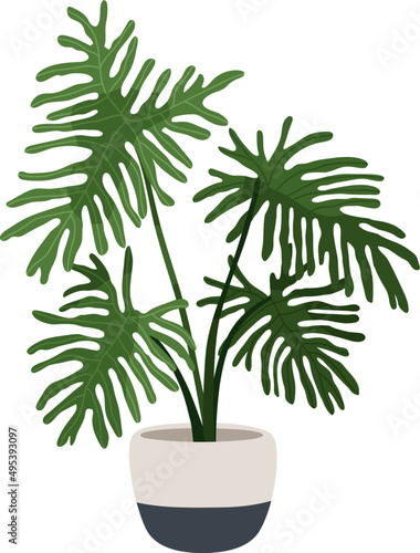 Potted House Plant in Pot Colored Illustartion