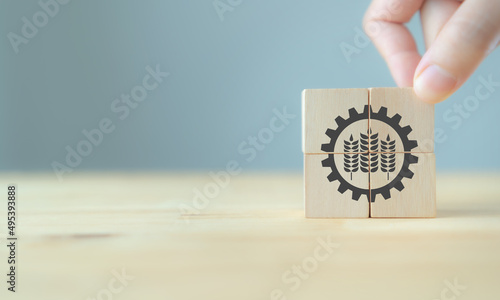 Industrial and agricultural concept..Productivity and quality management on mass scale. Hand puts wooden cubes with agriculture symbol with cereal grains and industrial gears. Smart grey background.