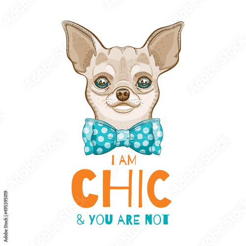 Cute puppy chihuahua, funny dog sketch with quote. Vector hand drawn illustration of adorable pet with orange bow tie and slogan for tee print design. Pretty chic portrait isolate white background