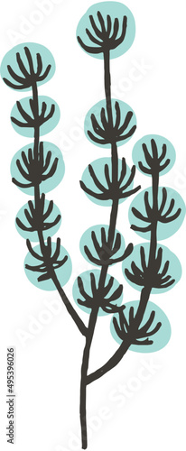 Seaweed Cartoon Illustration