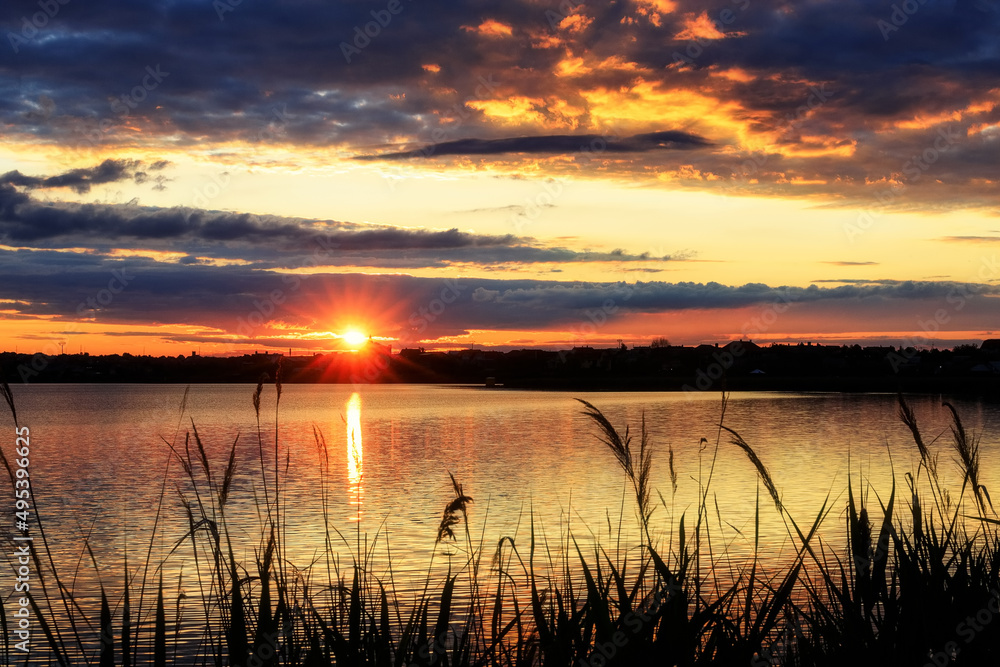 Beautiful sunset on the lake with vegetation silhouettes Beautiful sunset on the lake with vegetation silhouettes