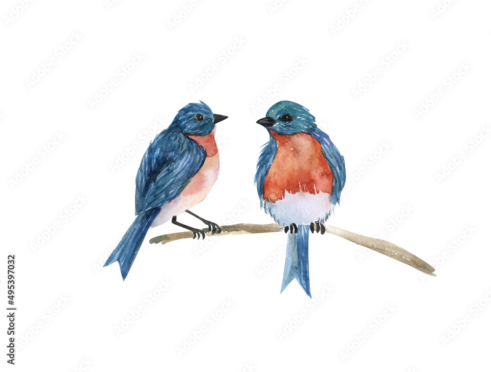 A pair of blue birds on a branch, watercolor illustration isolated on a white background,