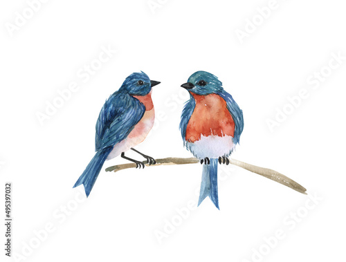 A pair of blue birds on a branch, watercolor illustration isolated on a white background, © Дарья Артемова