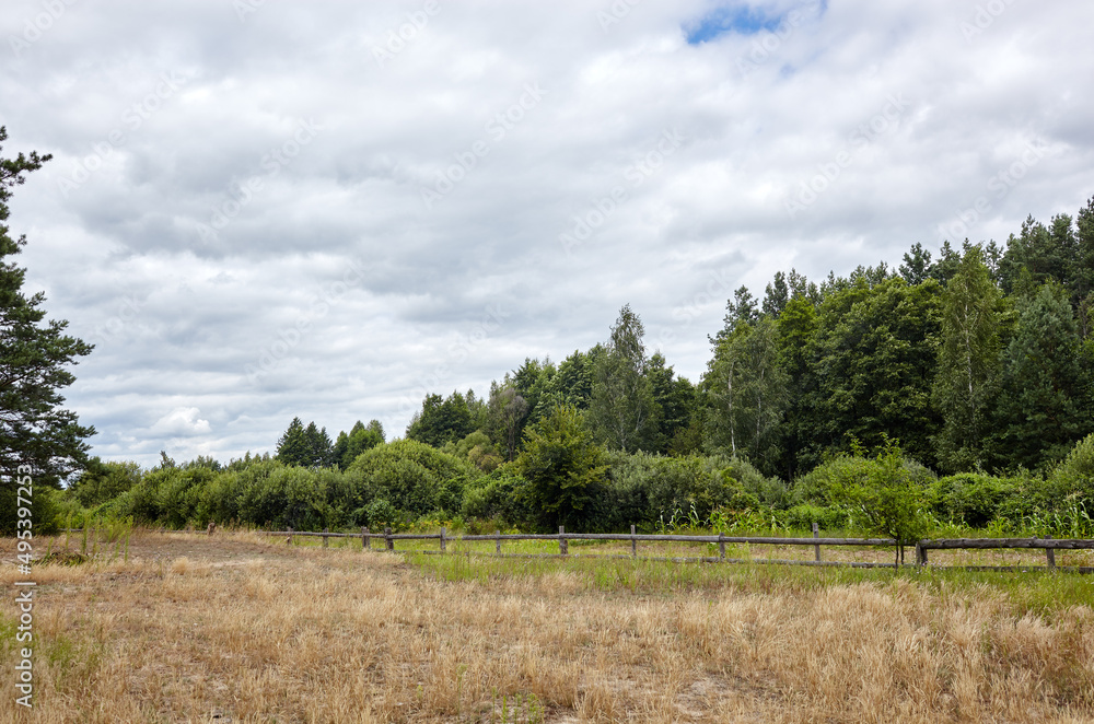 Old wooden corral against a blue sky on a sunny day. Grass paddock on farmland with wooden fence on dense forest background. Rural view meadow and fenced place for walking livestock