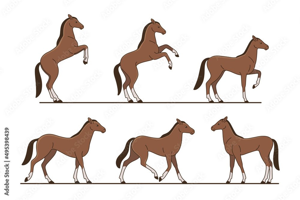 Obraz premium Cute horse. Detailed drawing of animal. Animal in various poses. Contour vector illustration for emblem, badge, insignia, postcard.