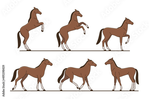 Cute horse. Detailed drawing of animal. Animal in various poses. Contour vector illustration for emblem  badge  insignia  postcard.