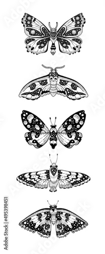 Moth tattoo set. Butterfly night moth vector black art. Universe wing moth. Celestial occult moon sketch. Line animal drawing design. Esoteric totem boho insect with space wing. Occult astrology print