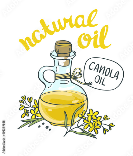 Seeds and rape flowers, canola oil.  Isolated vector illustration on white background. Bottle with tag - Canola oil.