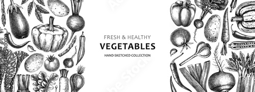 Hand-sketched vegetables design. Hand-drawn tomatoes, squashes, peppers, potatoes, asparagus and other vegetables. Healthy food banner for menu, restaurant, packaging, labels. Botanical illustration