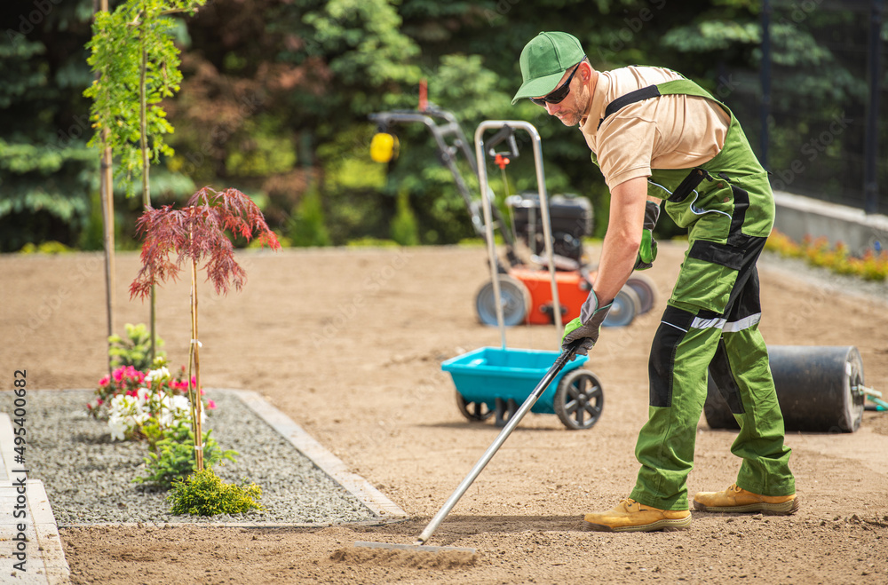 Preparing Backyard Soil For Grass Seeding Preparing Backyard Soil For Grass Seeding