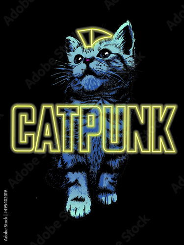 Cat with a mohawk and neon glowing text catpunk . Vector illustration.