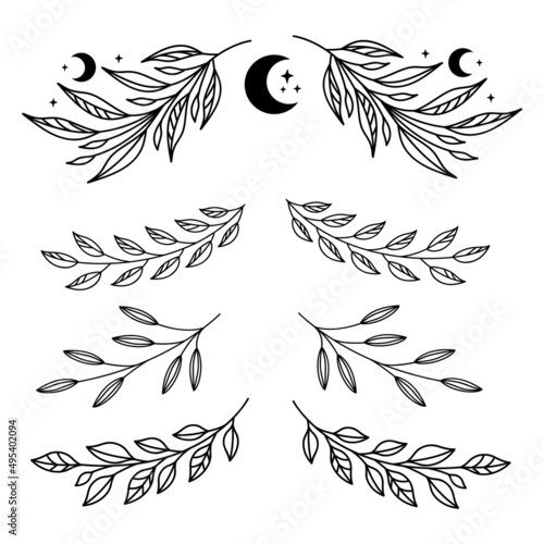 
set of isolated black and white branches leaves