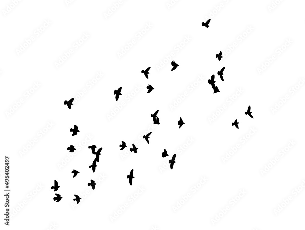 A flock of flying birds. Free birds. Vector illustration A flock of flying birds. Free birds. Vector illustration